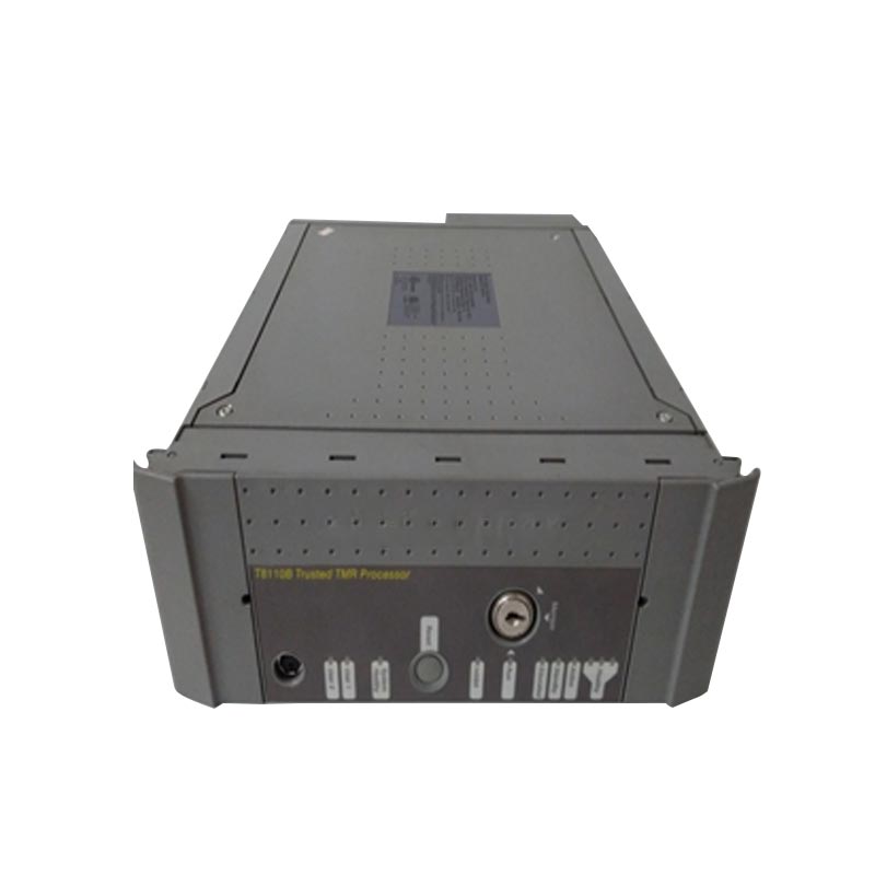 Nguyên tắc cơ bản của ICS Triplex là gì?